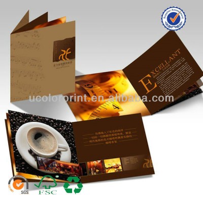 china supplier ucolor brochure printing customized